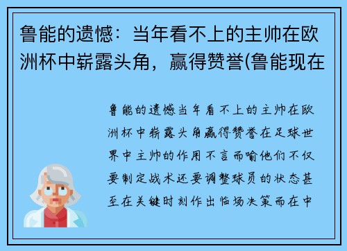 鲁能的遗憾：当年看不上的主帅在欧洲杯中崭露头角，赢得赞誉(鲁能现在的主帅是谁)