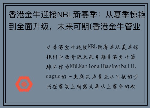 香港金牛迎接NBL新赛季：从夏季惊艳到全面升级，未来可期(香港金牛管业)