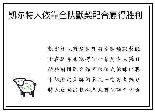 凯尔特人依靠全队默契配合赢得胜利
