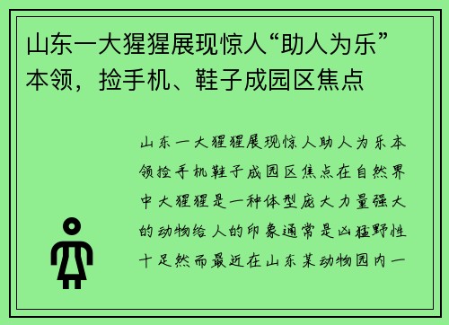 山东一大猩猩展现惊人“助人为乐”本领，捡手机、鞋子成园区焦点