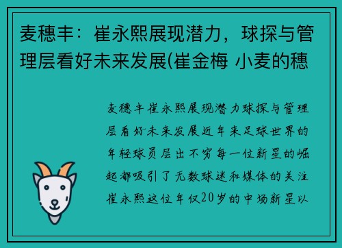 麦穗丰：崔永熙展现潜力，球探与管理层看好未来发展(崔金梅 小麦的穗)